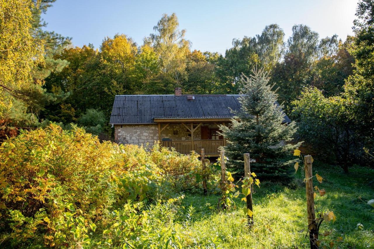 Holiday home Siedlisko Wydry - Dom W Srodku Lasu Wierzchoniow